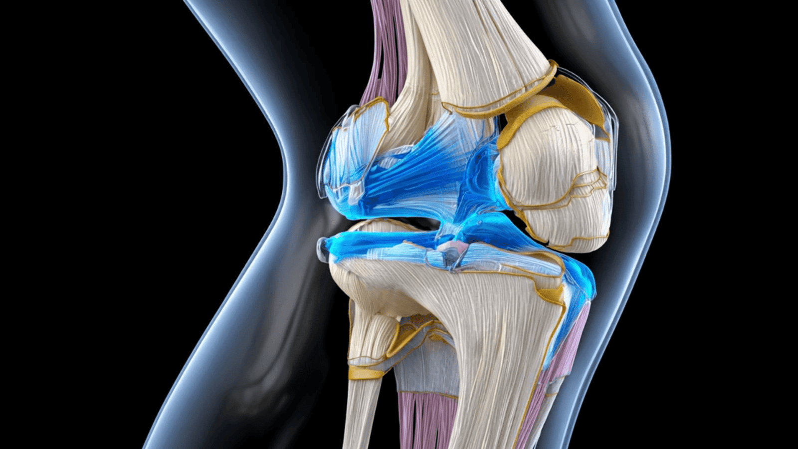 ACL tear symptoms