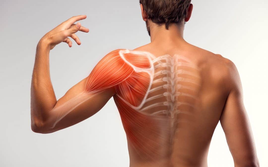 Rotator Cuff Tear Test