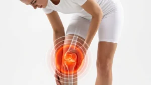 knee cartilage