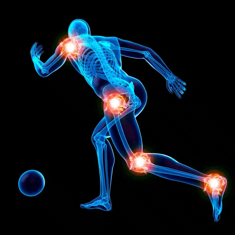 Orthopaedic assessment and tendon examination
